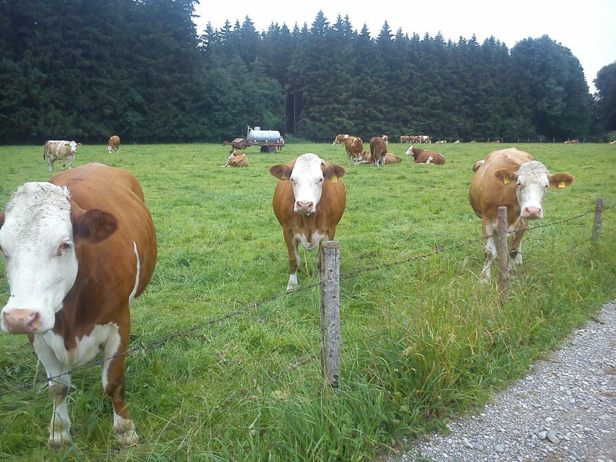 Ferienwohnung Auf Dem Lechsberg Fuchstal Exteriör bild